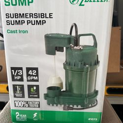 Submersible Sump Pump