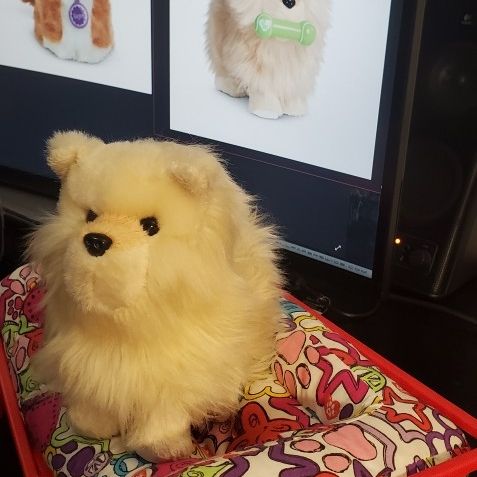 American girl best sale pomeranian
