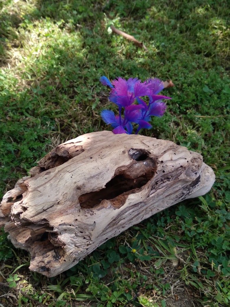 Beautiful Driftwood Tunnel Aquarium Terrarium Garden Decor Crafts