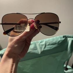 Coach Sunglasses