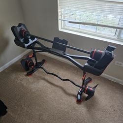 BowFlex SelectTech 2080 Adjustable Barbell with Curl Bar And Stand