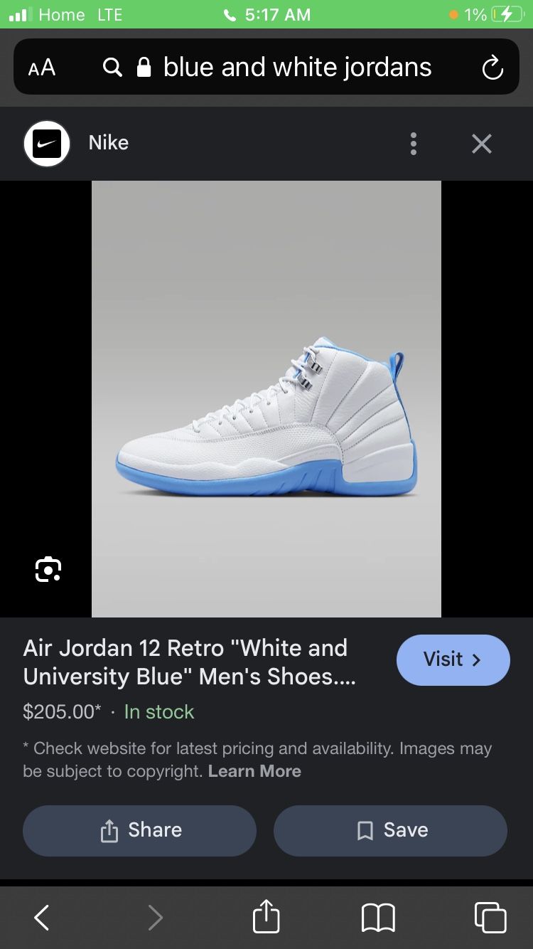 Air Jordan 12