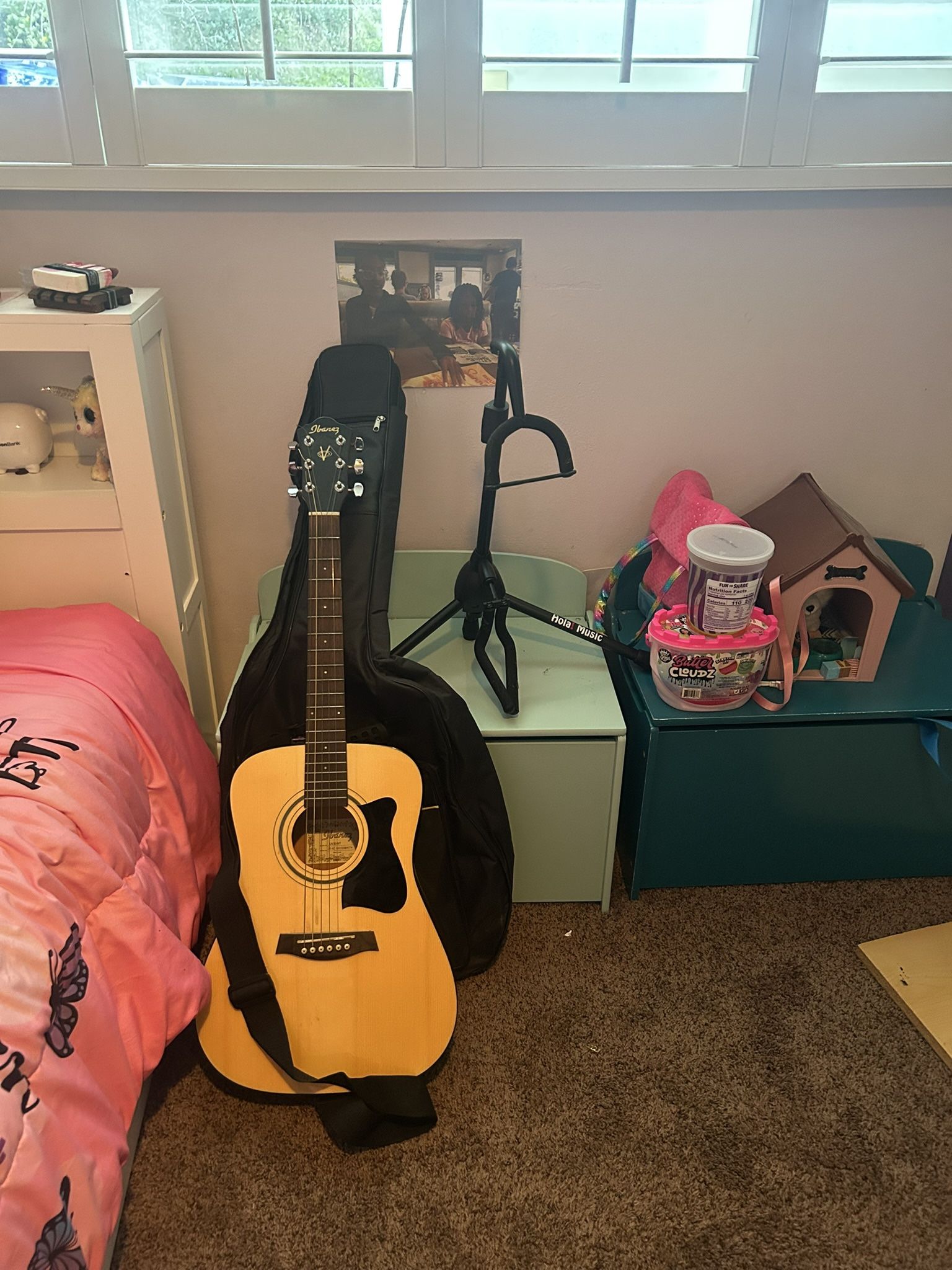 Ibanez Guitar  acoustic with Stand and Case