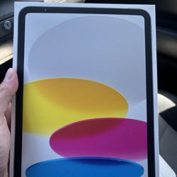 iPad (A16) Wi-Fi + Cellular