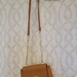 Express Brown Purse Handbag