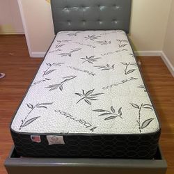 New Twin Size Beds With New Mattress 