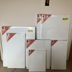 8 Art Alternatives Stretched Canvases for Painting