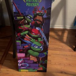 Ninja turtle  Picture 