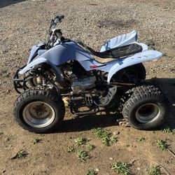 Quad Bike 