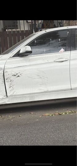 Bmw driver side doors