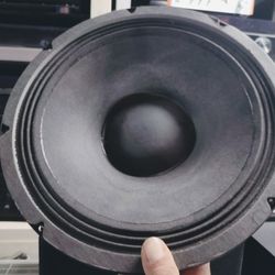 Pair Of 12" Speakers