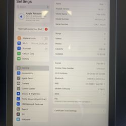 iPad A16 128gb Blue Wi-Fi +Cellular