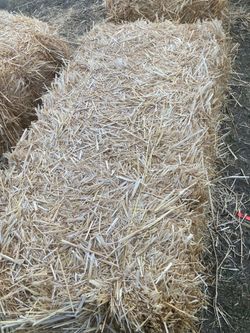 Bales of hay