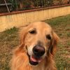 Billy