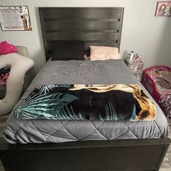 Bed frame and box spring