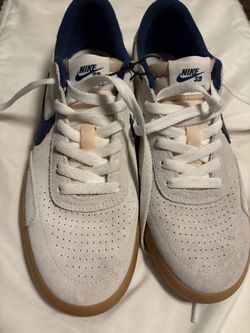 Nike SB Low-Top Skate Sneakers