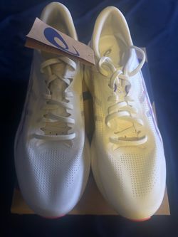 ASICS sonicblast men’s size 11