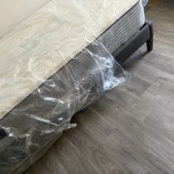 Twin Bed