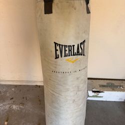 Everlast Punching Bag And Gloves 