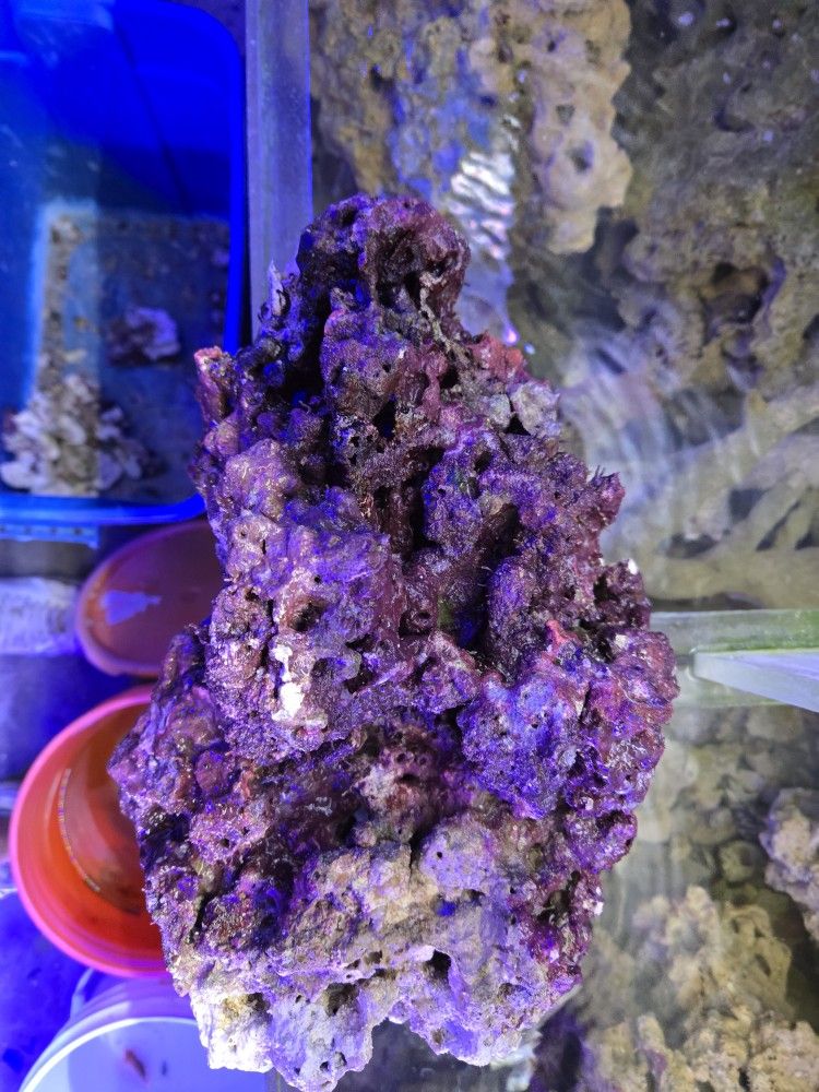 Saltwater Aquarium Rock
