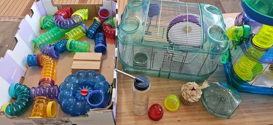 Hamster cages