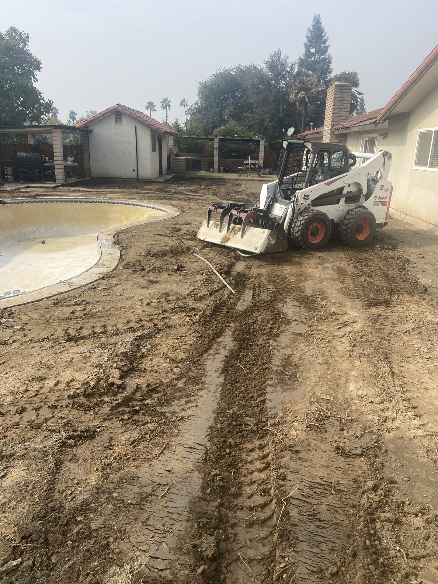 Bobcat