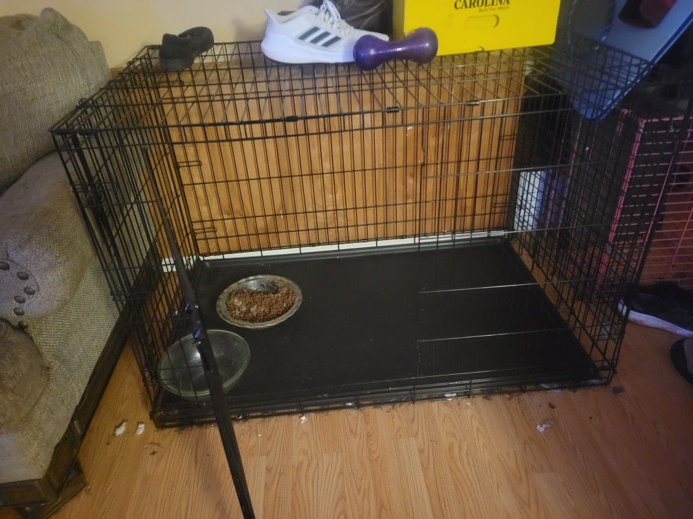 XXL Dog Crate With Divider