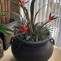 Planters
