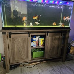 75 Fish Tank With Stand. 