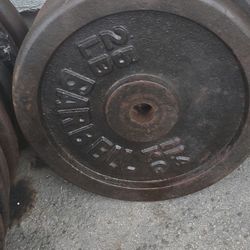 Standard 25 Lbs. weight plates
