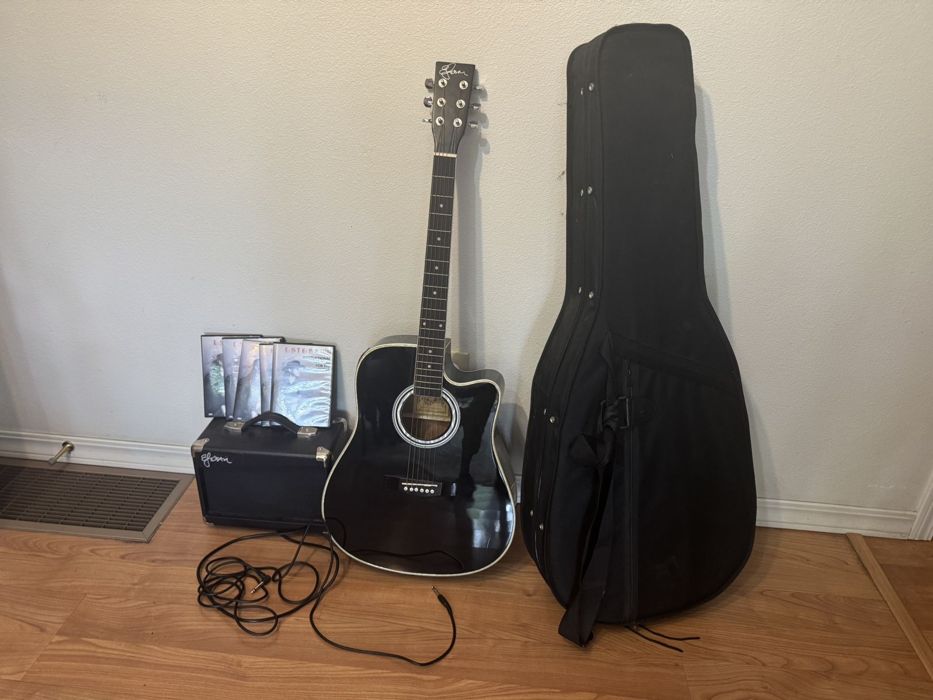 Esteban Guitar Brand New