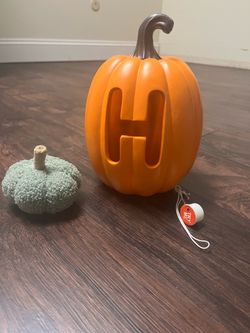 Decorative Pumpkins