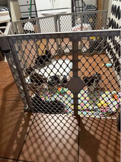 Puppy playpen