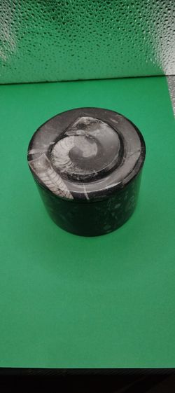 Orthoceras Ammounit Container Round With A Lid 