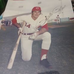 Pete Rose Autographed Picture 8x10