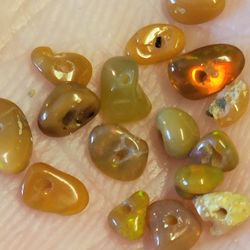 15pcs Natural Ethiopian Fire Opal Rough Polished Beads (Pre-Drilled) 