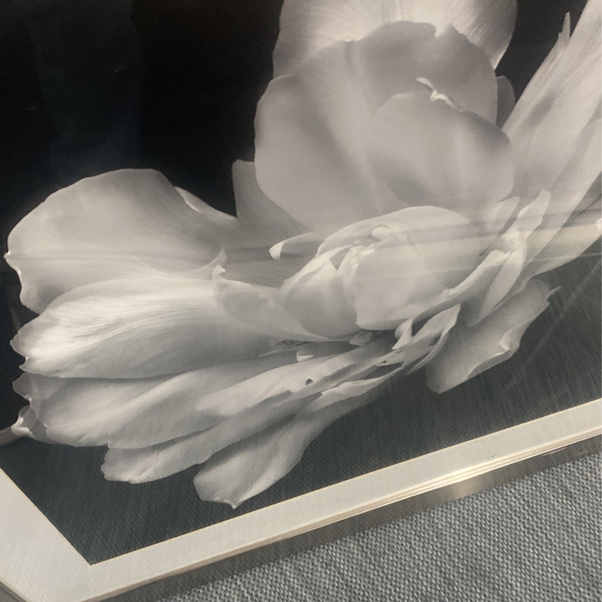 Z Gallery Picture Frame