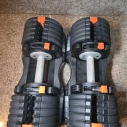 NordicTrack Select-a-Weight Adjustable Dumbbells 