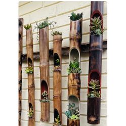 Bamboo succulent Arrangement Wall hangers