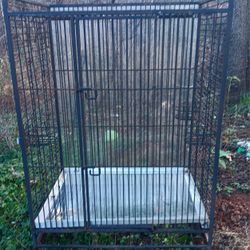 Large Parrot Birdcage  $150