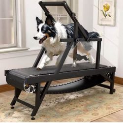 ❤️Dog Treadmill for Large/Medium Dogs