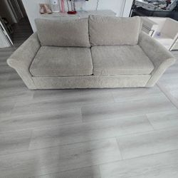 Light Gray Sofa