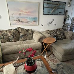 sofa looks new no spots 