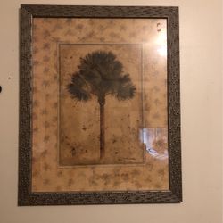 Palm Tree Picture