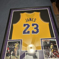 LeBron Autograph Jersey
