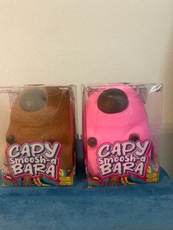 Capybara squishys