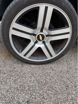 24 inch Texas Editions