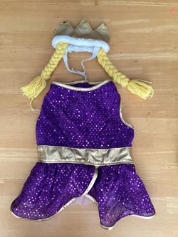 Rapunzel Dog Costume