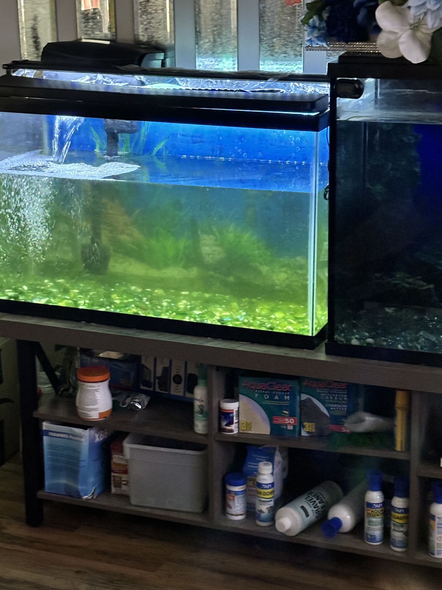 2 Large Fish Tank