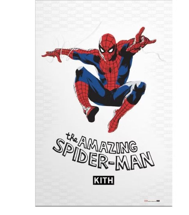 Kith The Amazing Spider-Man Poster
